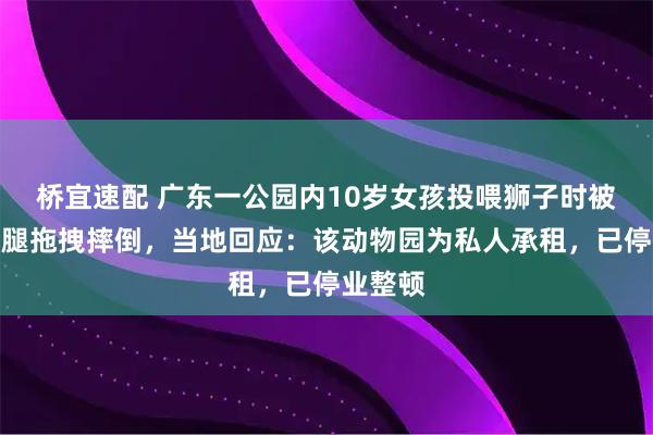 桥宜速配 广东一公园内10岁女孩投喂狮子时被抓住裤腿拖拽摔倒，当地回应：该动物园为私人承租，已停业整顿